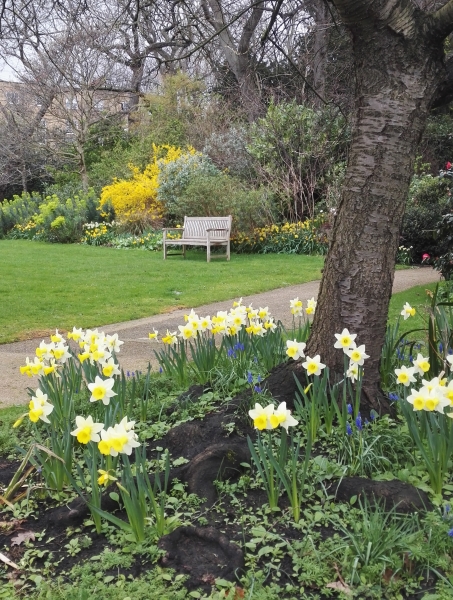 Edwardes Square